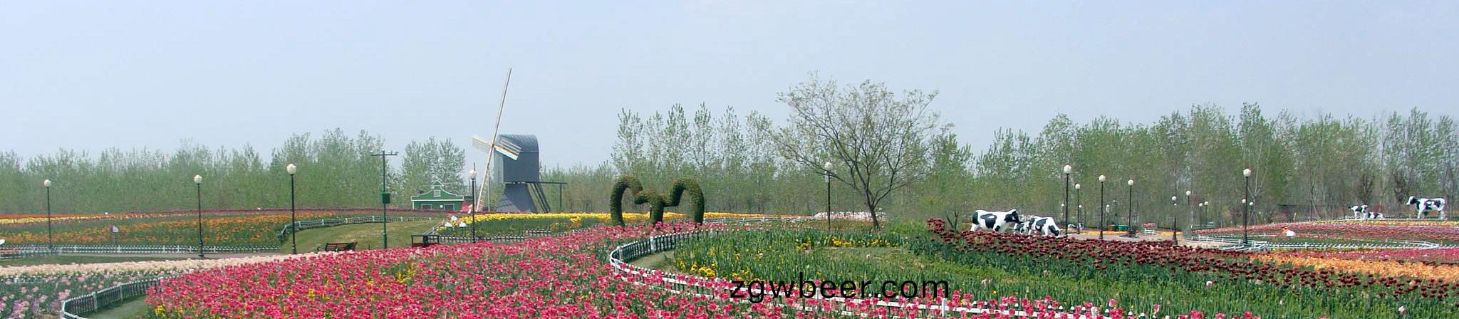 通(tong)用(yong)banner