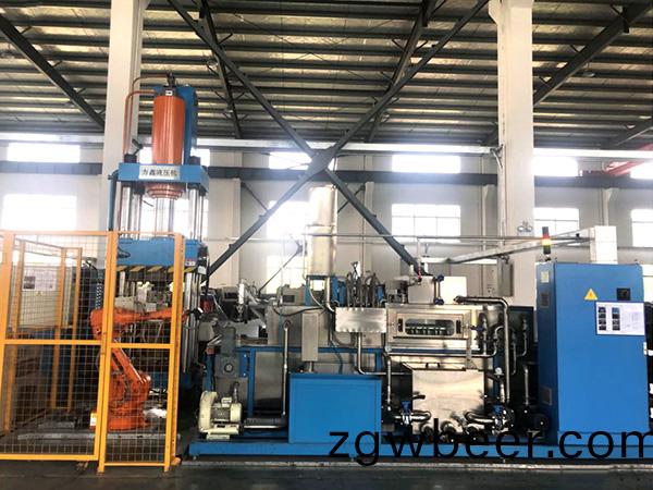 Polymer automatic coating finishing line (2 lines)